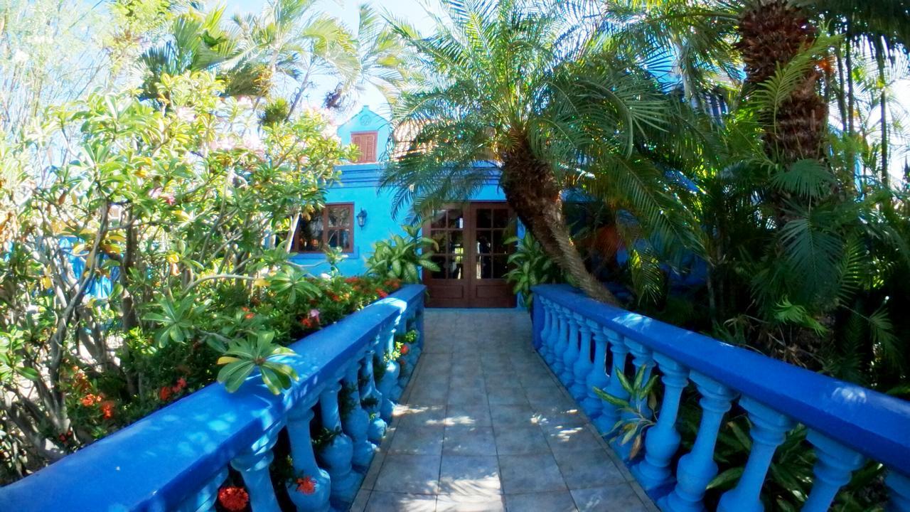 De Cuba Bed & Breakfast Ноорд Экстерьер фото